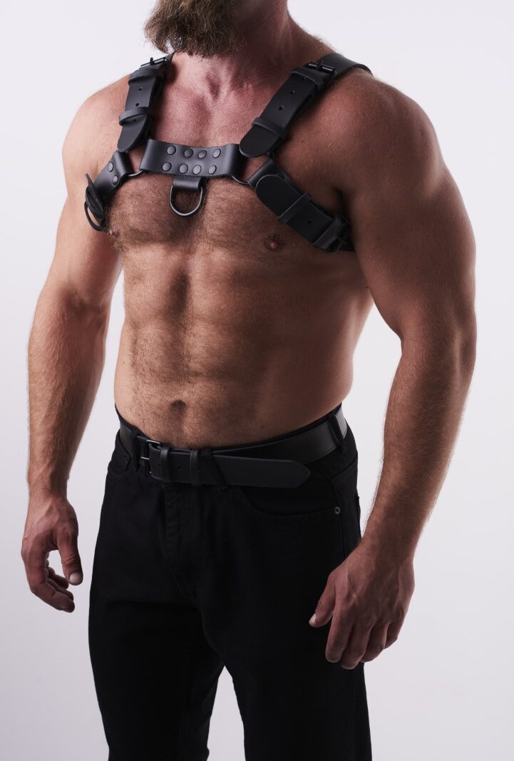 0101 b2c_1 Leather Chest Harness Black