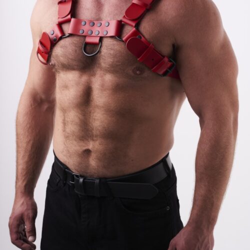 0102 b2c_1 Leather Chest Harness Red