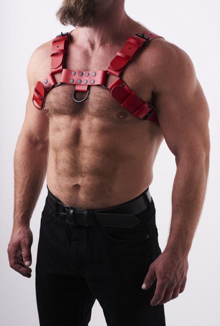 0102 b2c_1 Leather Chest Harness Red