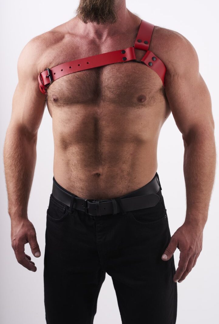0302 b2c_1 Leather Chest Harness Y Red