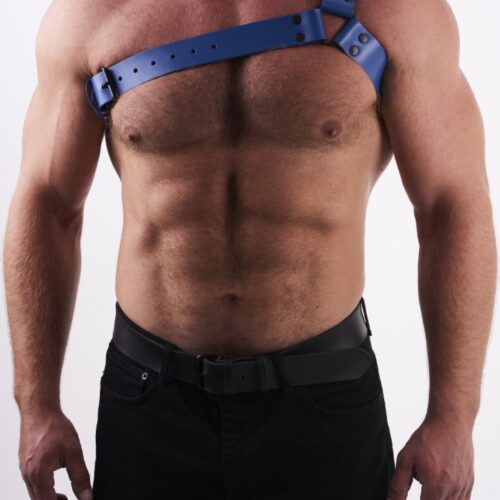 Leather Chest Harness Y Blue