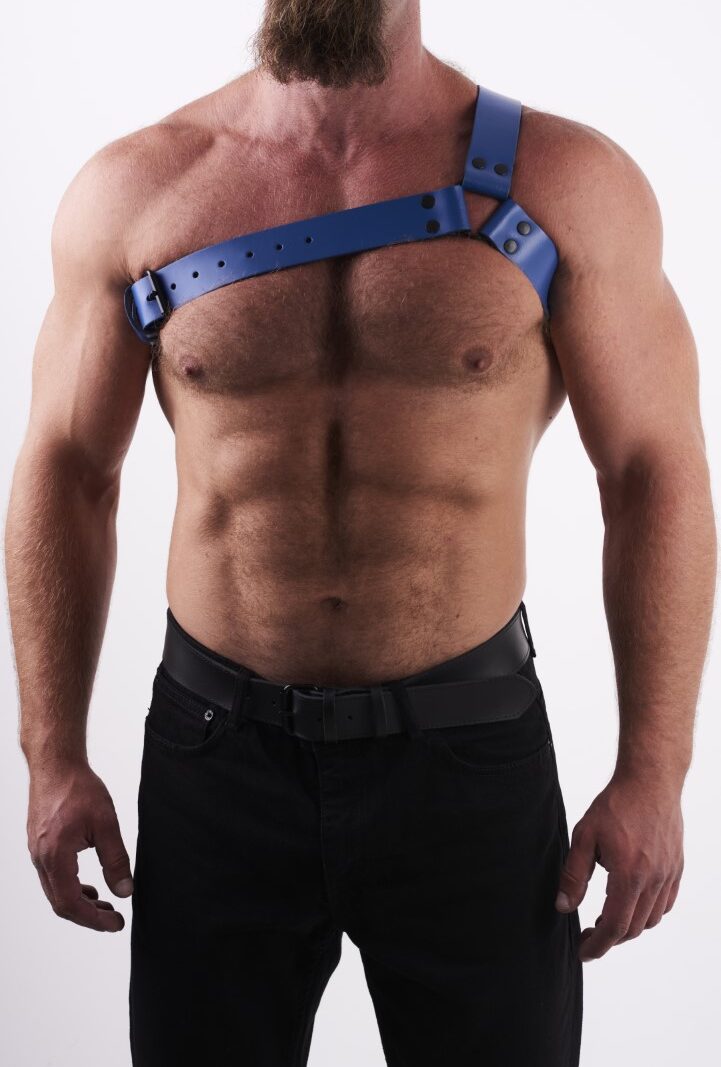 0303 b2c_1 Leather Chest Harness Y Blue