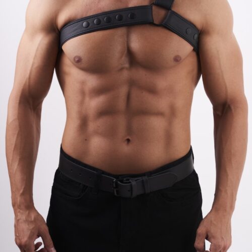 Soft Leather Chest Harness Y Black
