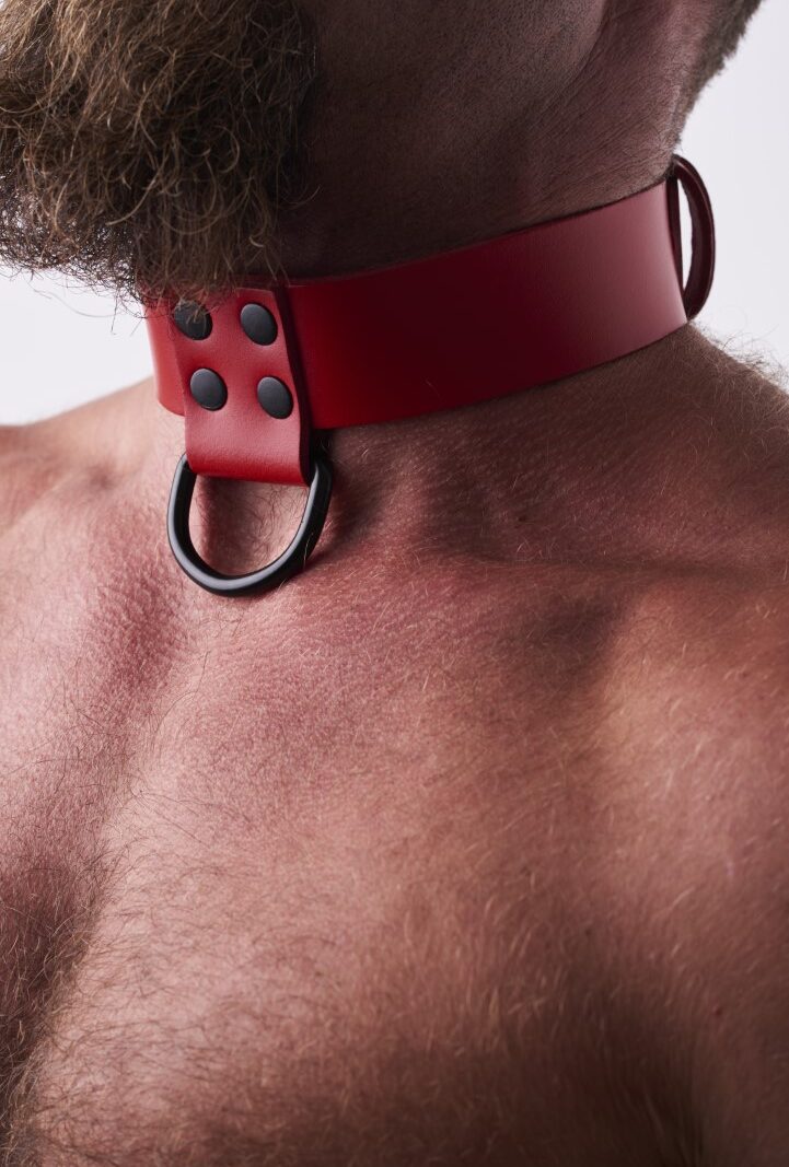 Leather Collar Red
