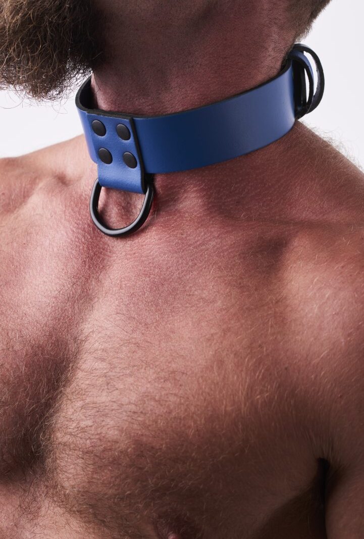 Leather Collar Blue