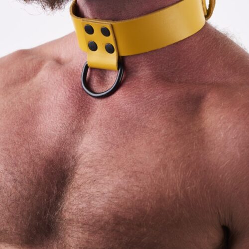 Leather Collar Yellow