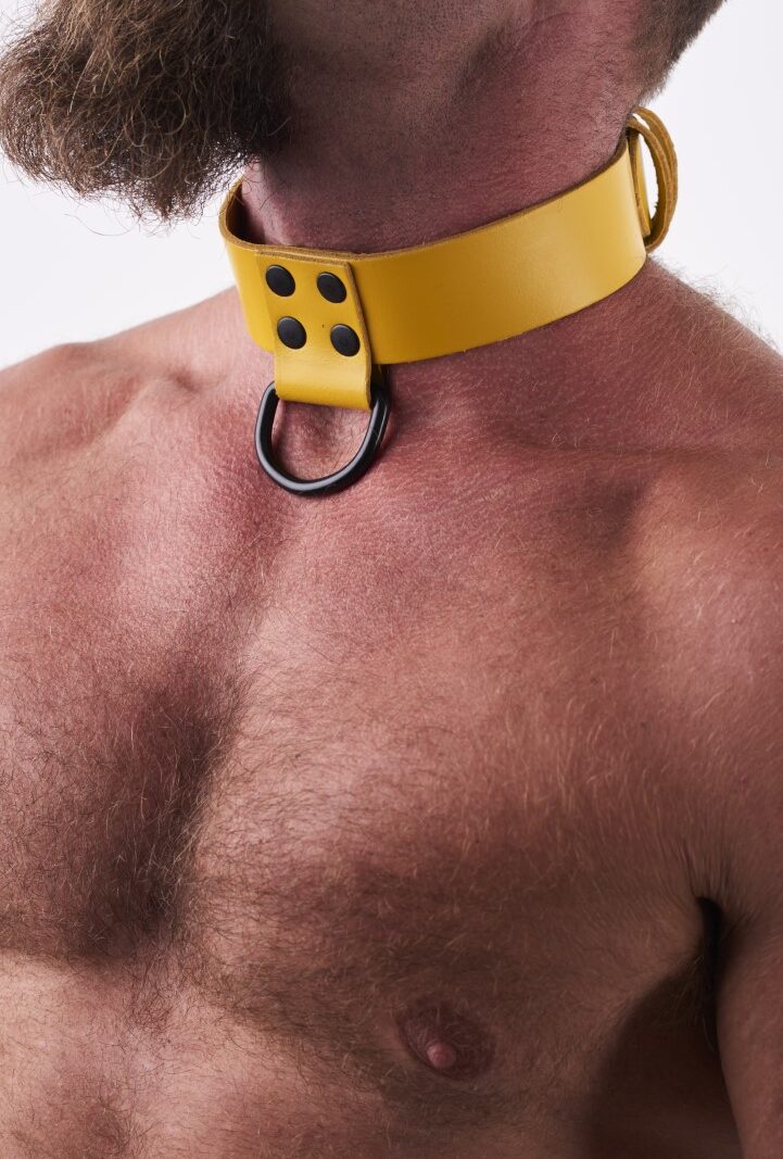 Leather Collar Yellow