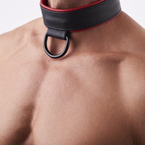 Soft Leather Collar Red