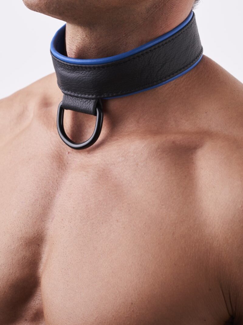 Soft Leather Collar Blue
