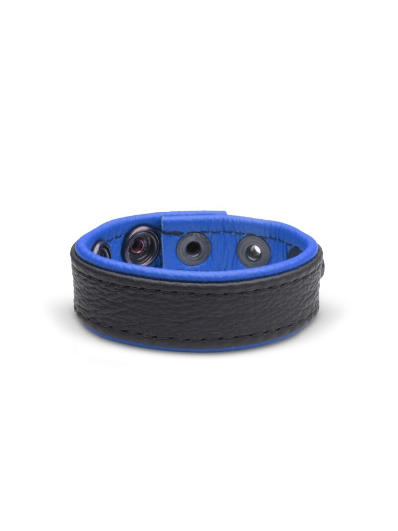 1703 b2c_1 Leather Cockring Blue