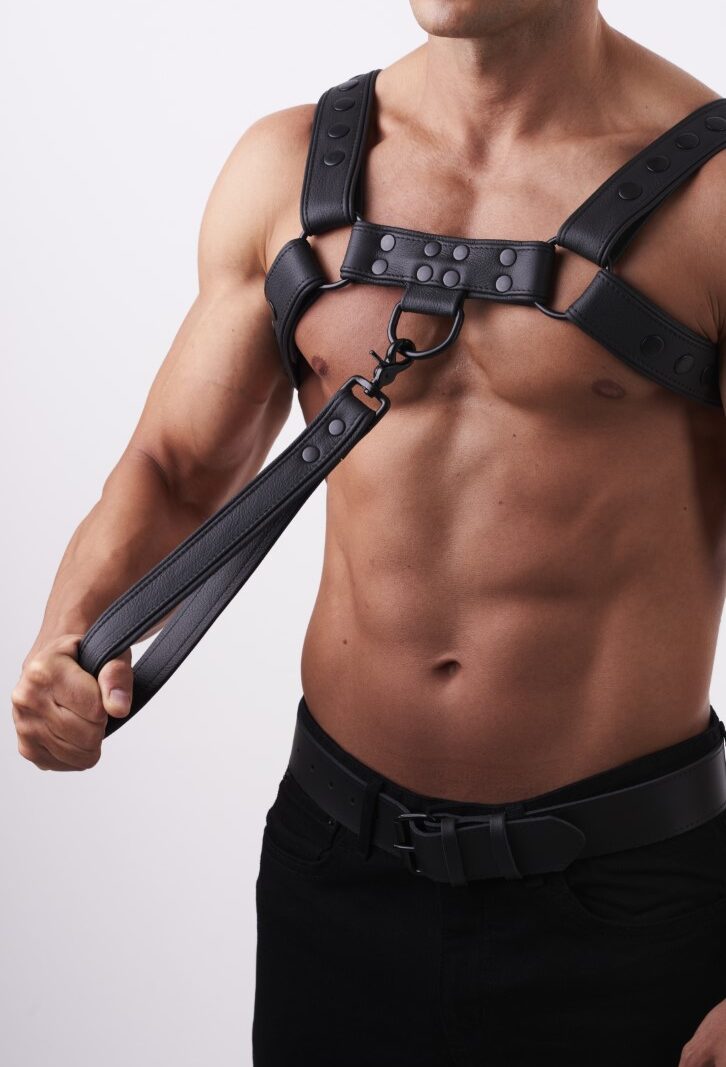 3201 b2c_1 Soft Leather Leash Short Black
