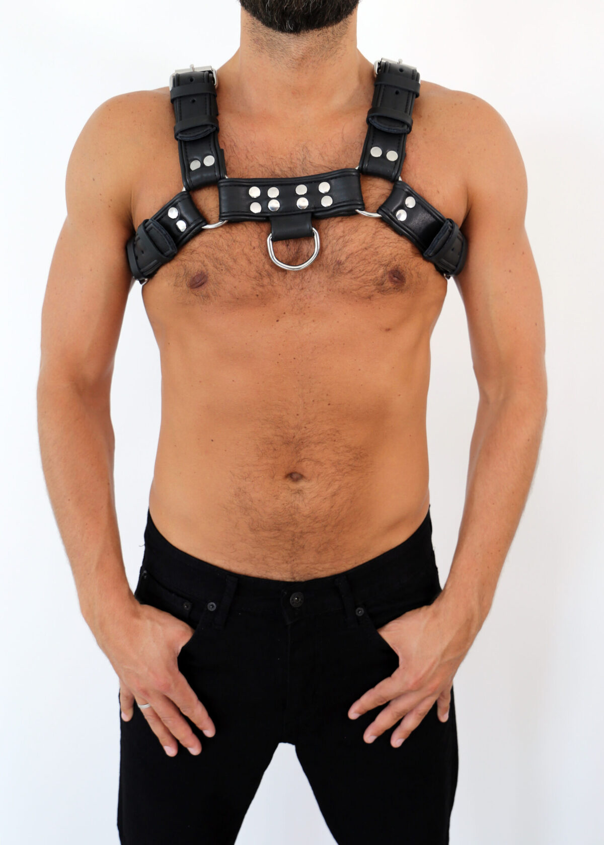 3801 b2c (2) Leder Brust Harness Schwarz "DR. LEE Line"