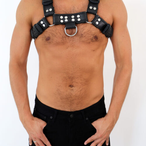 3801 b2c (2) Leder Brust Harness Schwarz "DR. LEE Line"