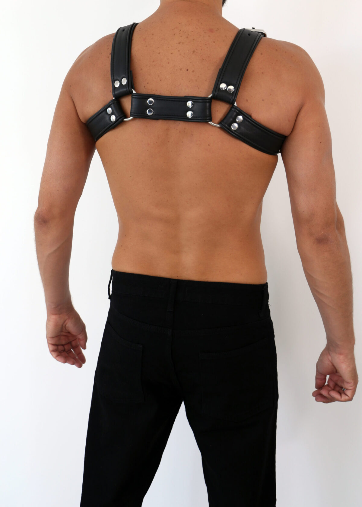 3801 b2c (4) Leder Brust Harness Schwarz "DR. LEE Line"