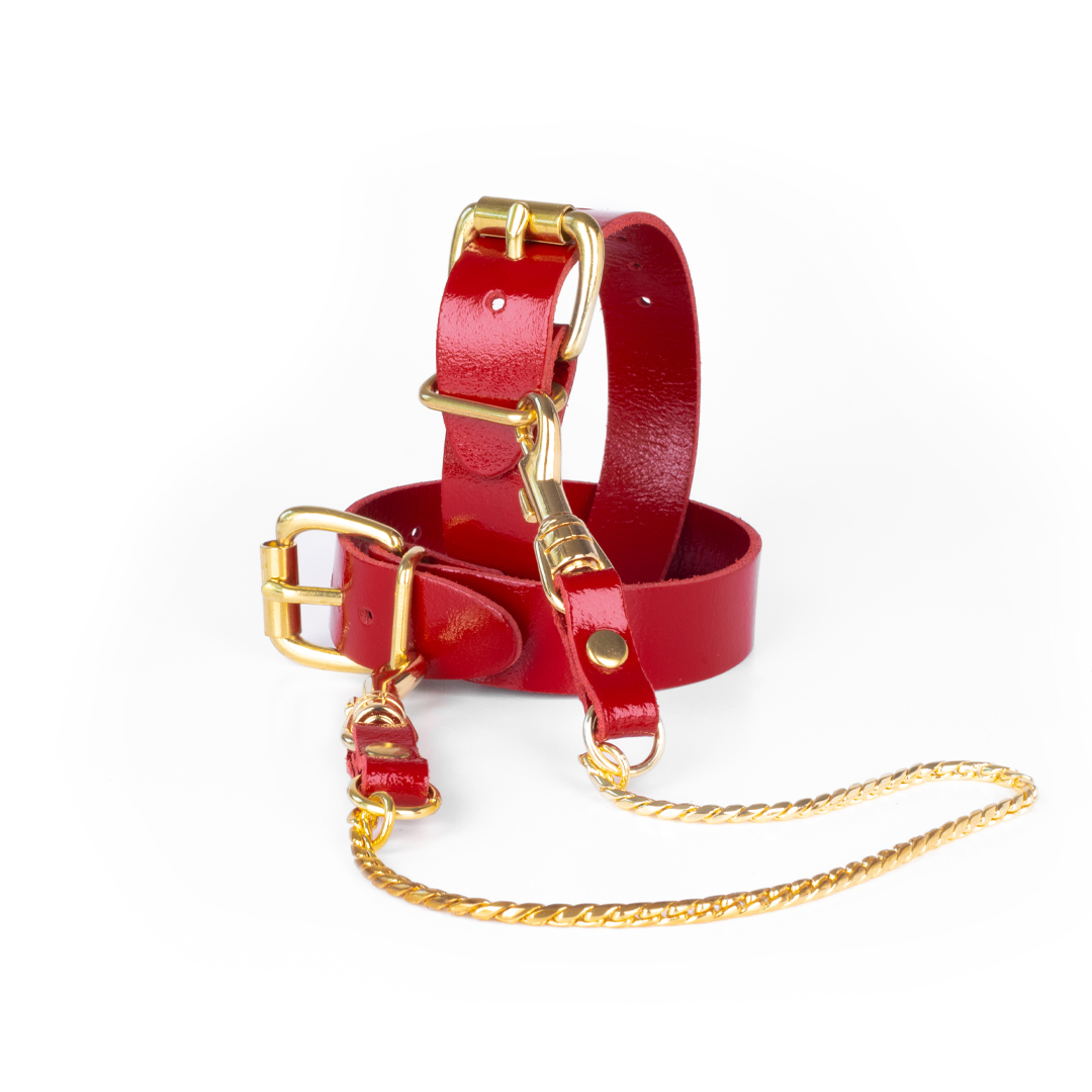 10302G-b2c_2 Leather feetcuffs with chain cherry/gold