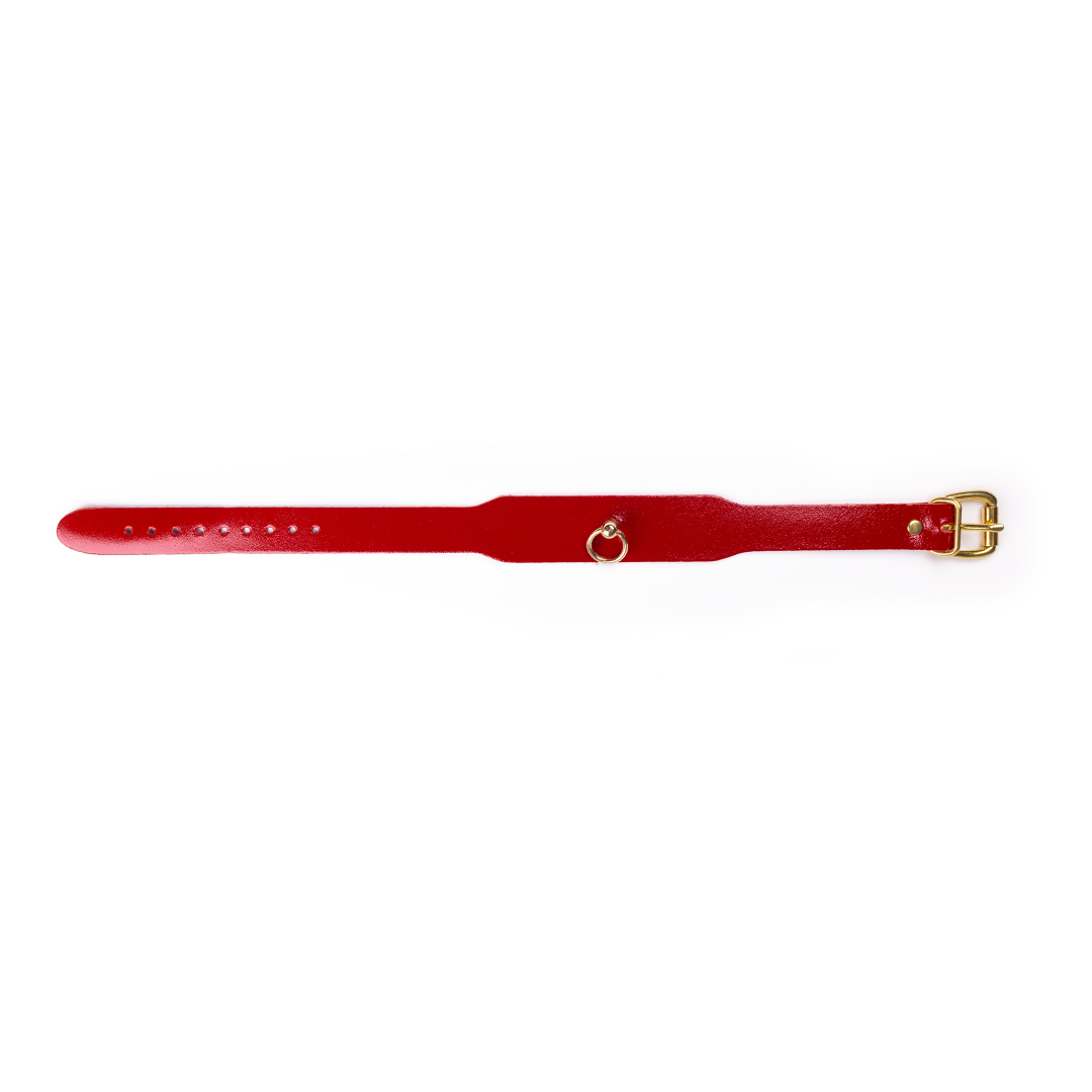 10402G-b2c_5 Lederhalsband Kirsch/Gold