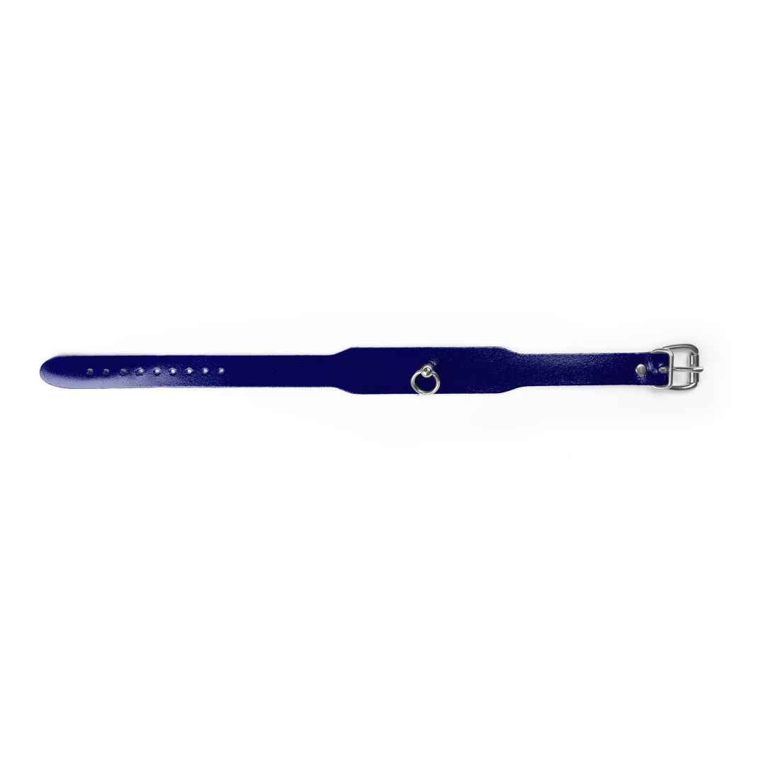 10403S-b2c_4 Lederhalsband indigo/silber