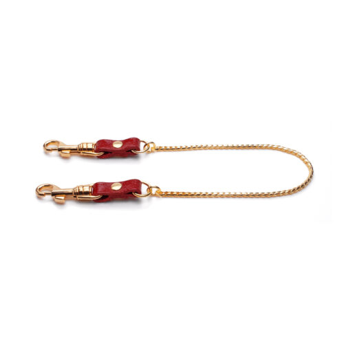 Chain with carabiners cherry/gold