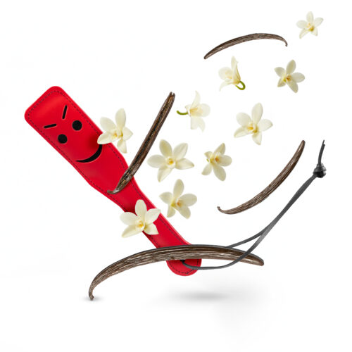 Paddle_red_happy_fly (VANILLA) Scented Paddle “VANILLA” – Sweet Submission
