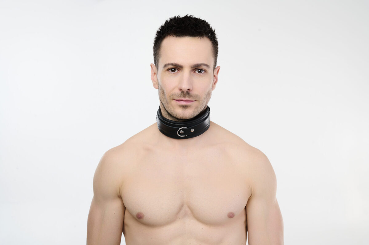 Soft Leather Collar