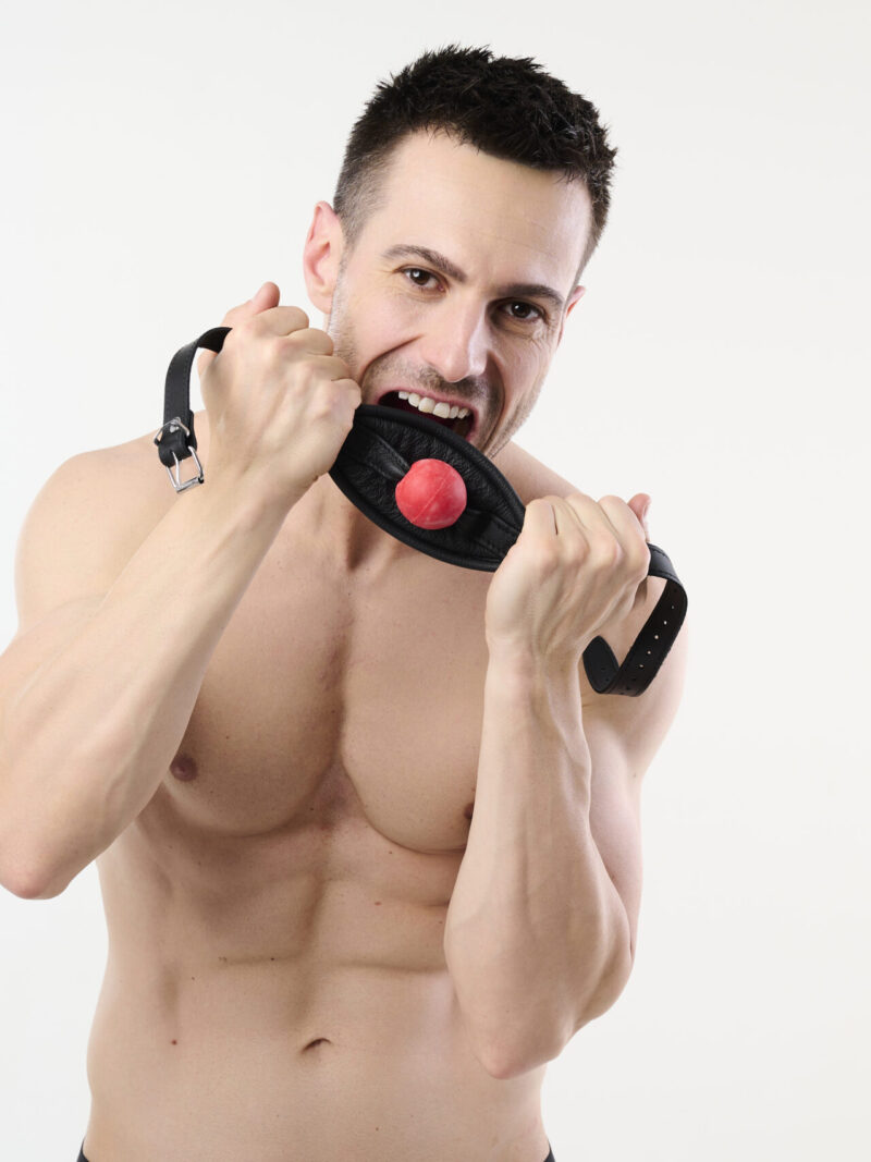 Ball Gag with Leather Mouth Plate