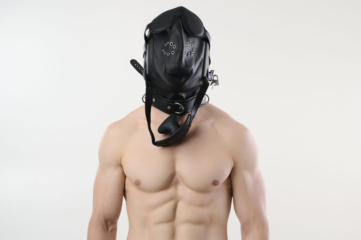 SG29detal_10946 Deluxe Professional Lockable Padded Leather Isolation Hood