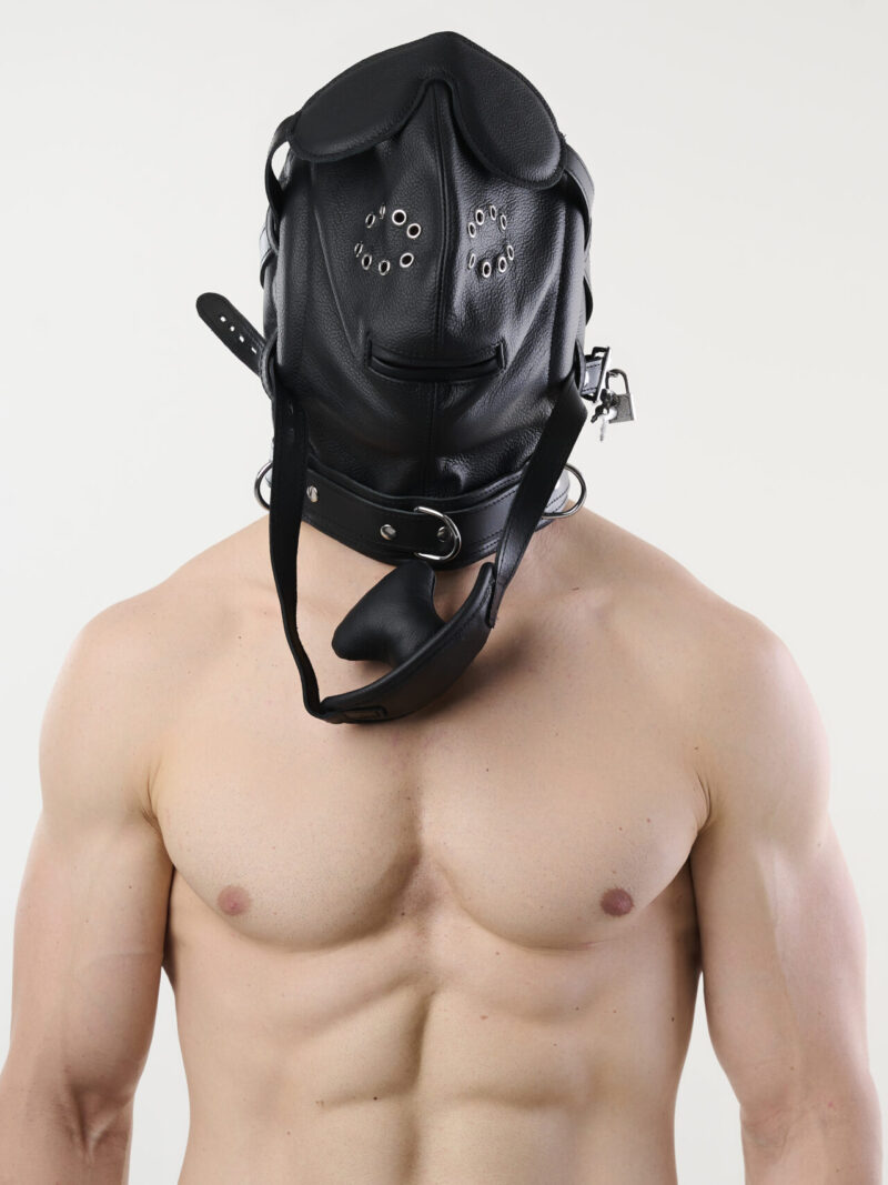 Deluxe Professional Lockable Padded Leather Isolation Hood