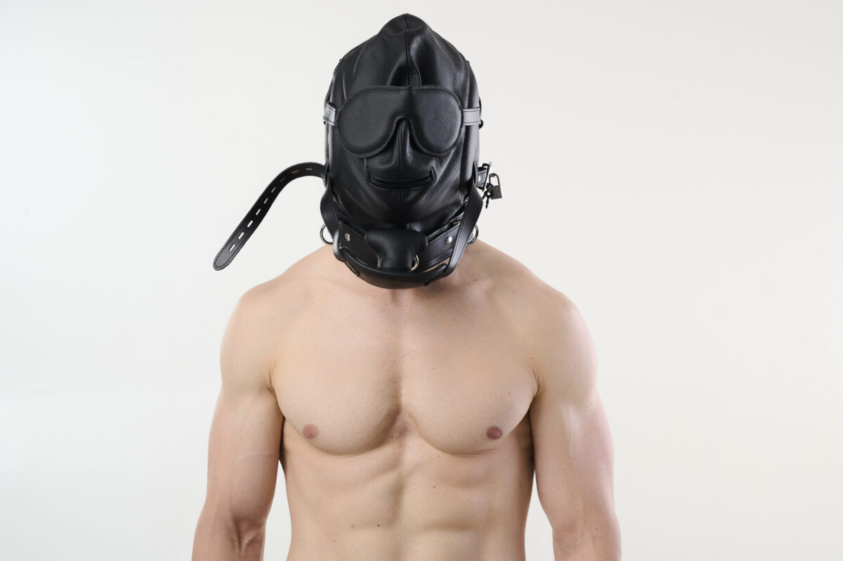 SG29detal_10948 Deluxe Professional Lockable Padded Leather Isolation Hood