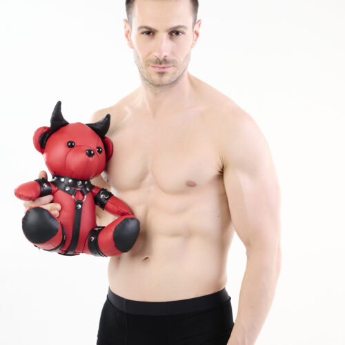 EDDY The Devilish BDSM Teddy